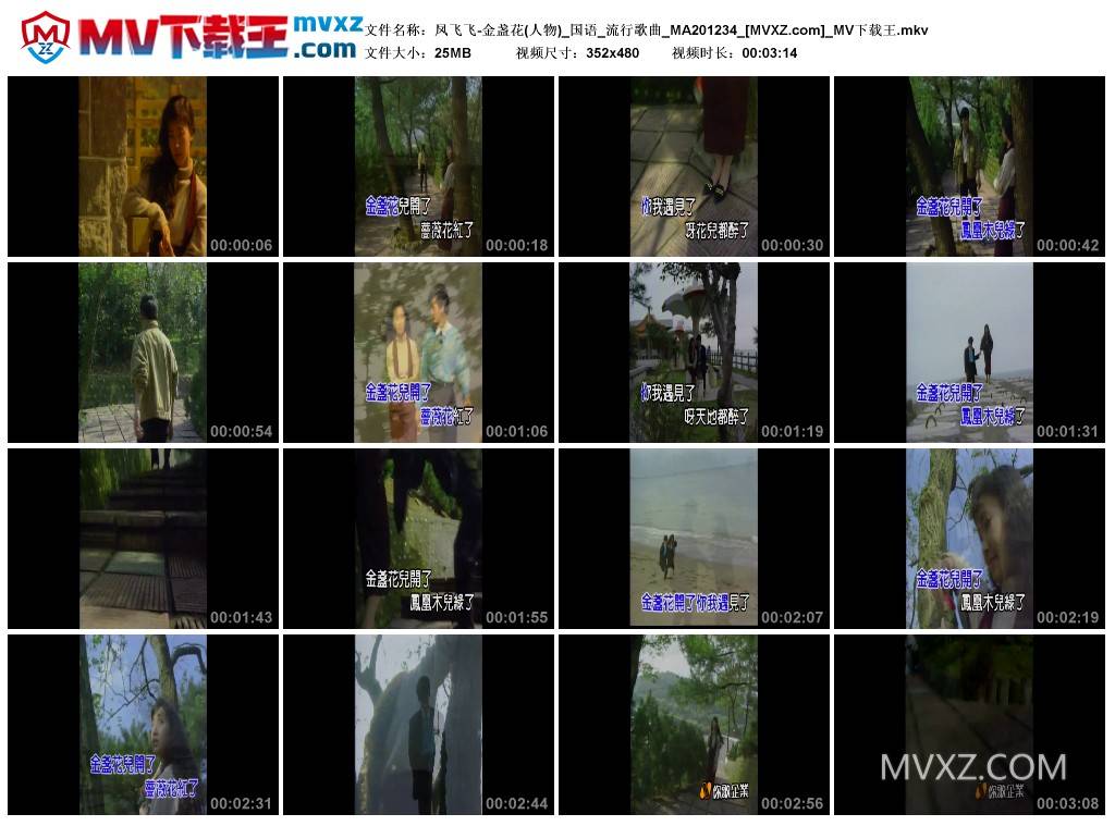 凤飞飞-金盏花(人物)_国语_流行歌曲_MA201234